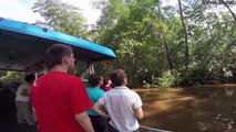 Costa Rica Reisen mit travel-to-nature-AQfePFdwjII