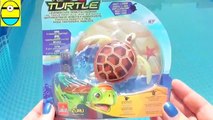 Toys review toys unboxing. Robo turtle. Turtle robot rofofish unboxing toys egg surpri
