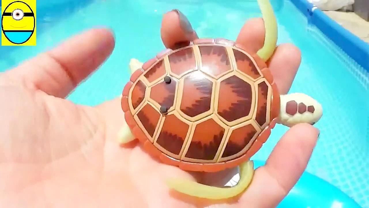 Toys review toys unboxing. R h unboxing toys egg surprise t