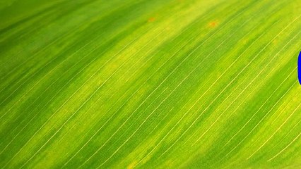 부천키스방 {부천오피}오피쓰{부천휴게텔}