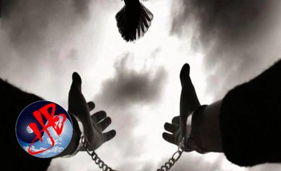 Trong họa có phúc, mọi chuyện xảy ra đều bởi có an bài