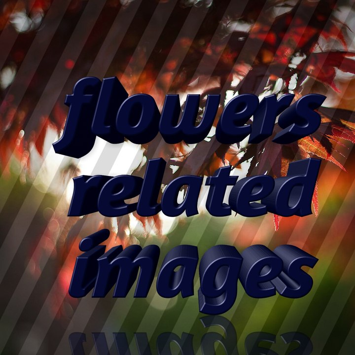 Flowers related images(any slideshow video)