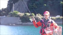 釣具のイヴ：全遊動釣法のお勉強に佐賀関に♪2016 12 7