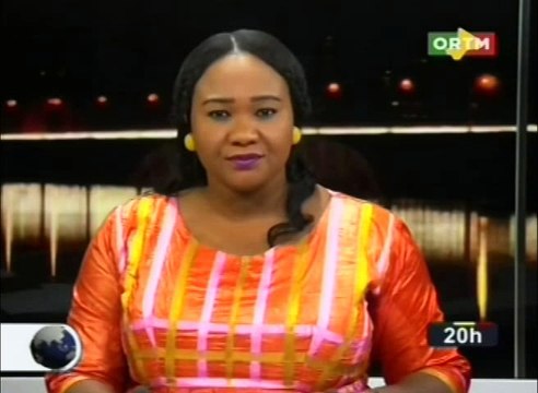 Rencontre entre le Ministre des Maliens de l’Extérieur et de l’intégration Africaine et le administrateurs du haut conseil des Maliens de l’extérieur