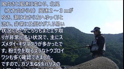 釣具のイヴ：佐伯市米水津・鶴見にてフカセ釣り2016 11 04