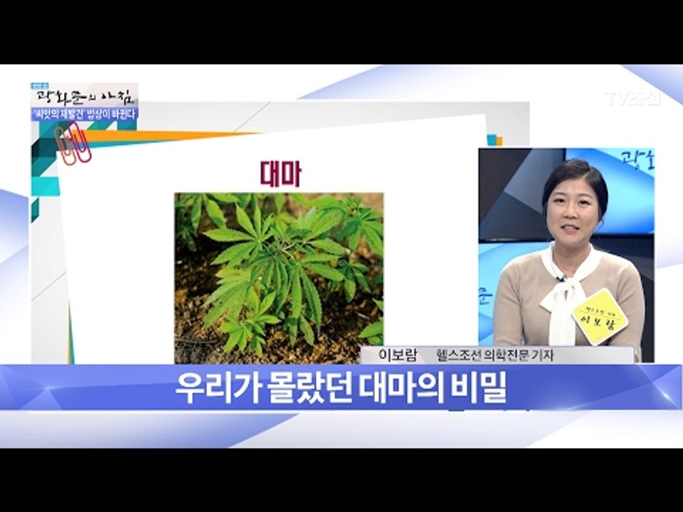 착한 대마 햄프씨드, 항암 효과 있다! [광화문의 아침] 426회 20170221