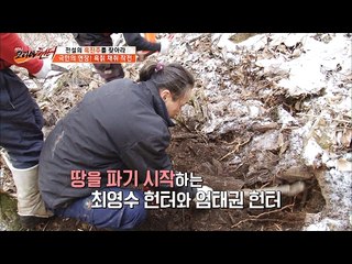 극한의 현장! 흑칡 채취 작전! [뉴 코리아 헌터] 38회 20170220