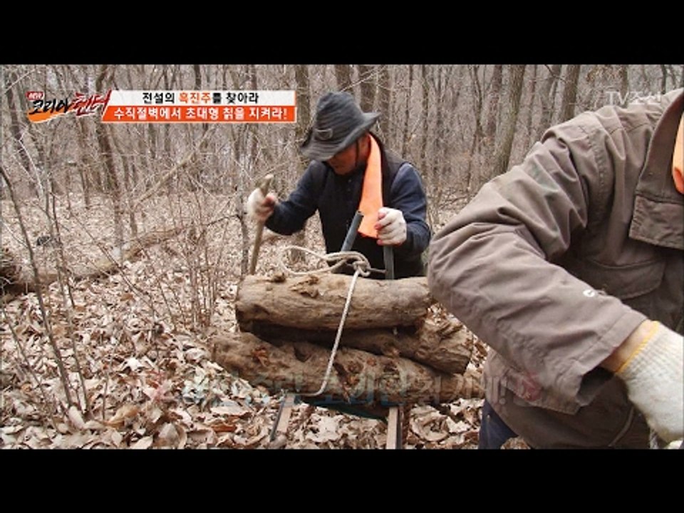 수직절벽에서 초대형 칡을 운반하라! [뉴 코리아 헌터] 38회 20170220