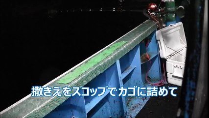 釣具のイヴ　爆釣！佐伯の孝明丸から鰤釣り