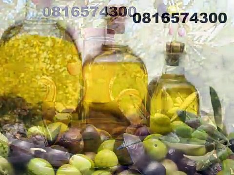 081-657-4300(Indosat) Jual Minyak Zaitun Murah Blitar