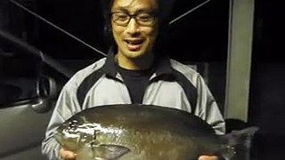 釣具のイヴ　大分県米水津のグレ釣り