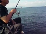 釣具のイヴ　西電横でのフカセ釣り