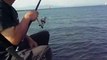 釣具のイヴ　西電横でのフカセ釣り