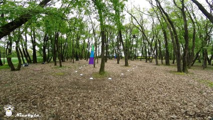 sainte-soulle-15042017