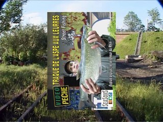 Traques de l’aspe aux leurres : street fishing