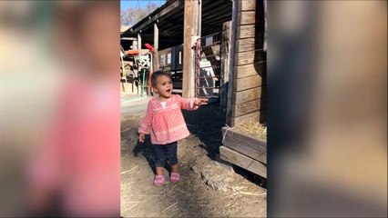 Et le mouton il dit quoi... Behehehehehe