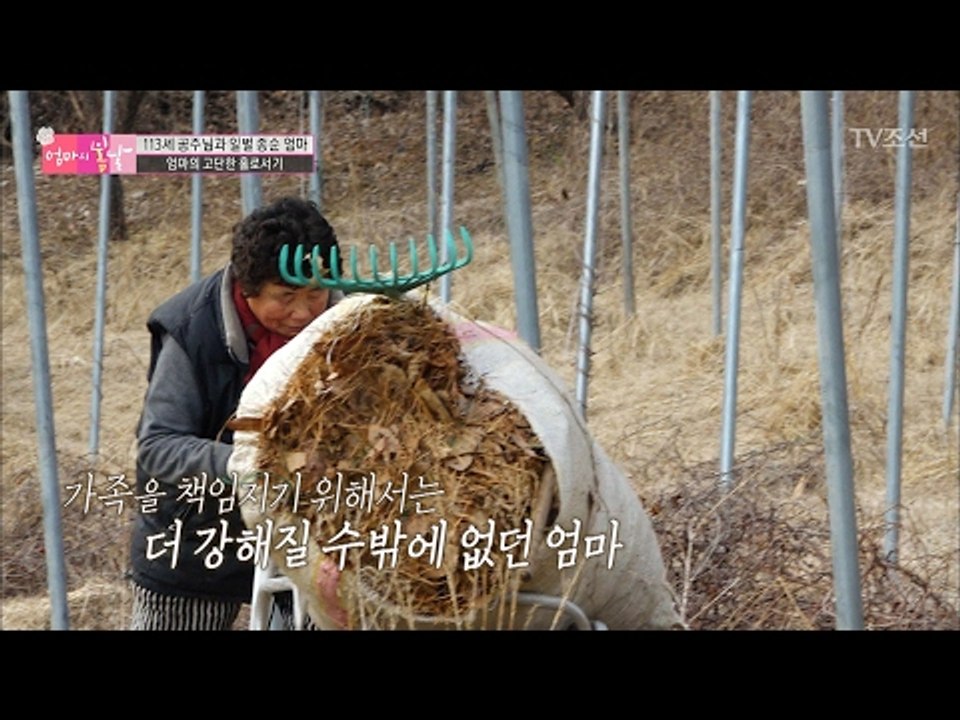 남편을 보낸 뒤, 엄마의 고단한 홀로서기 [엄마의 봄날] 77회 20170219