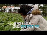 재발없이 여성암 극복한 비결 [슈퍼푸드의 비밀 천년만년2] 5회 20170219