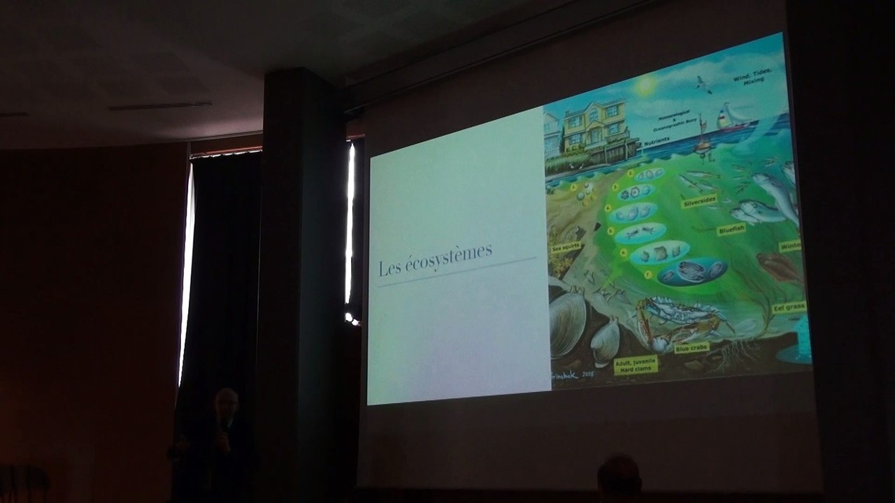 CEP - LA BIOMIMÉTIQUE ET SES MESSAGES  - IAN WILDERS