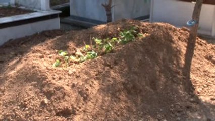 Adana'da Esrarengiz Ölümler... Konserverden mi Zehirlendiler?