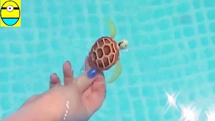 Toys review toys unboxing. Robo turtle. Turtle robot rofor werwe56756