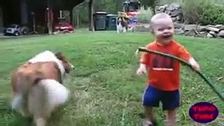 Babies Playing With Dogs || Funny Video || Must Watch