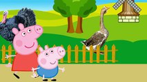 Peppa Pig and George on the farm. Farm animals. Cartoon for kids
