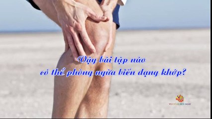 Bài tập cho người bị thoái hóa khớp gối