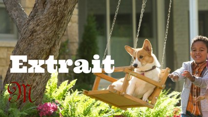 Mes vies de chien (2017) - "Coup de foudre" EXTRAIT VOSTFR