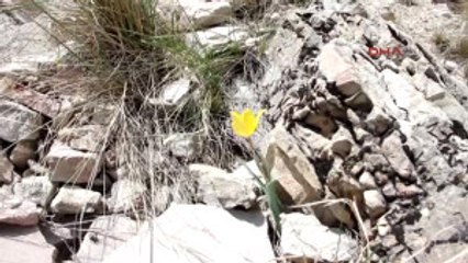 Erzurum Baharla Birlikte Dağlar Renklendi