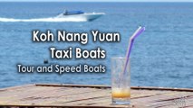 Koh Nang Yuan Taxi Boats, Tour and Speed Boats