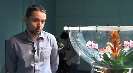 EXPOSITION Les fourmis colonisent le muséum de Tours