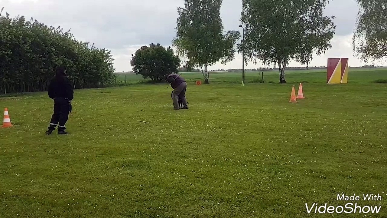 Thor débourrage mordant 6 mois