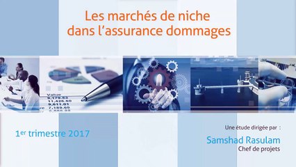 Les marchés de niche dans l’assurance dommages [Alexandre Boulègue]