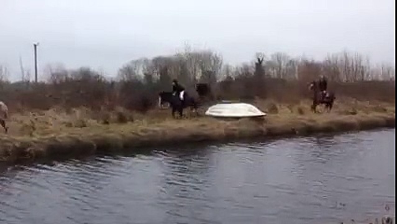 Binicisiyle Dereye Uçan At
