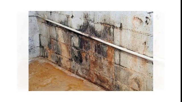 Home Inspector Fort Worth Tip For Maintaining Gutters and Downspouts | (817) 380-9207 | Call Us!