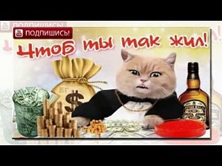 Кум! С Днем Рождения тебя!!!