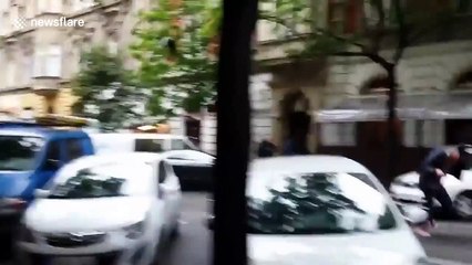 Crow attacks unsuspecting pedestrian