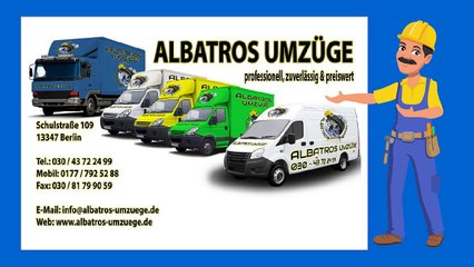 Albatros Umzüge