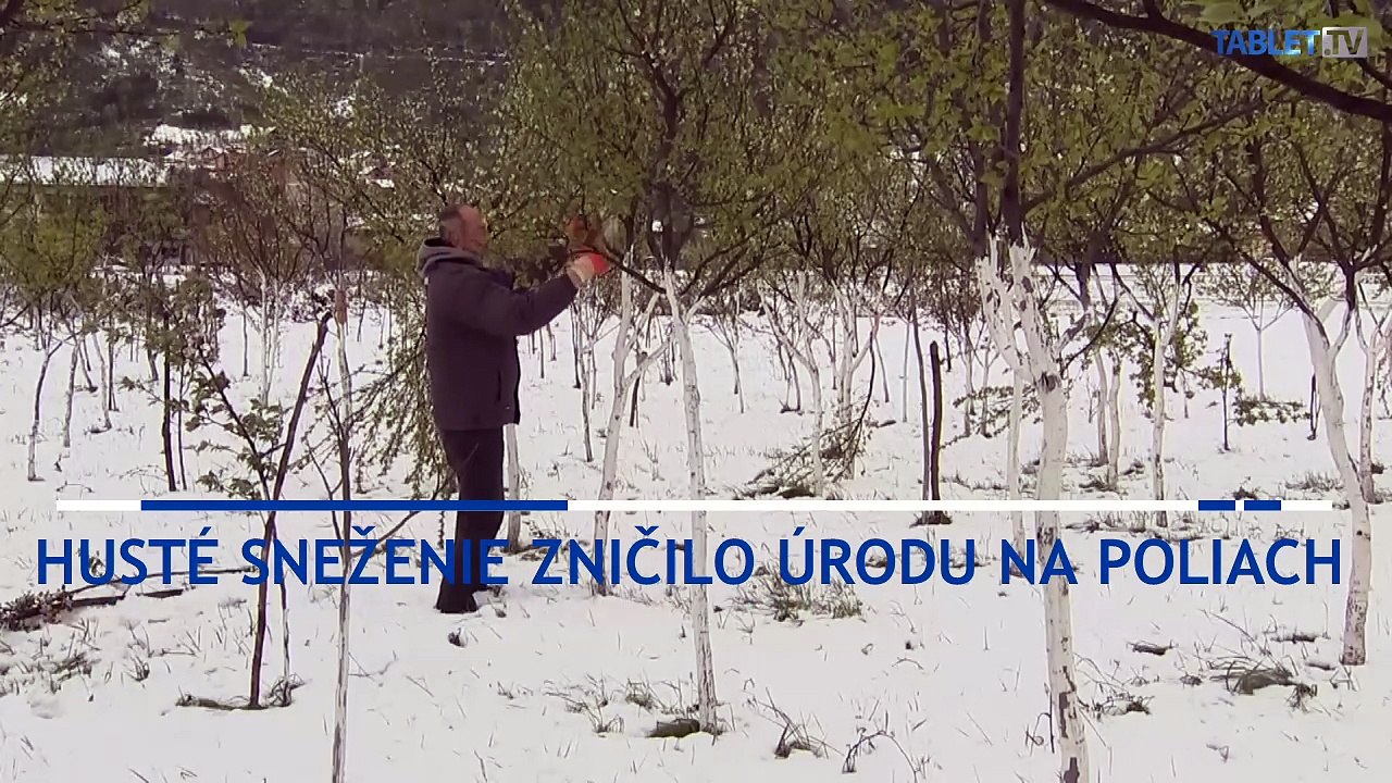 Prudké sneženie zasiahlo aj Bosnu a Hercegovinu
