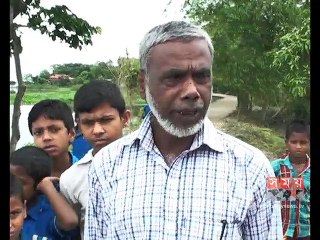 সুনামগঞ্জে মাছের পর এবার হাঁসের মড়ক