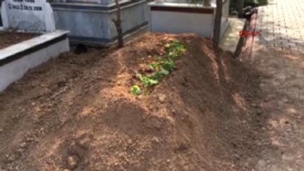 Adana Domates Konservesinden 4'üncü Ölüm