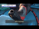 잠수부들의 신기한 잠수복 [광화문의 아침] 422회 20170215
