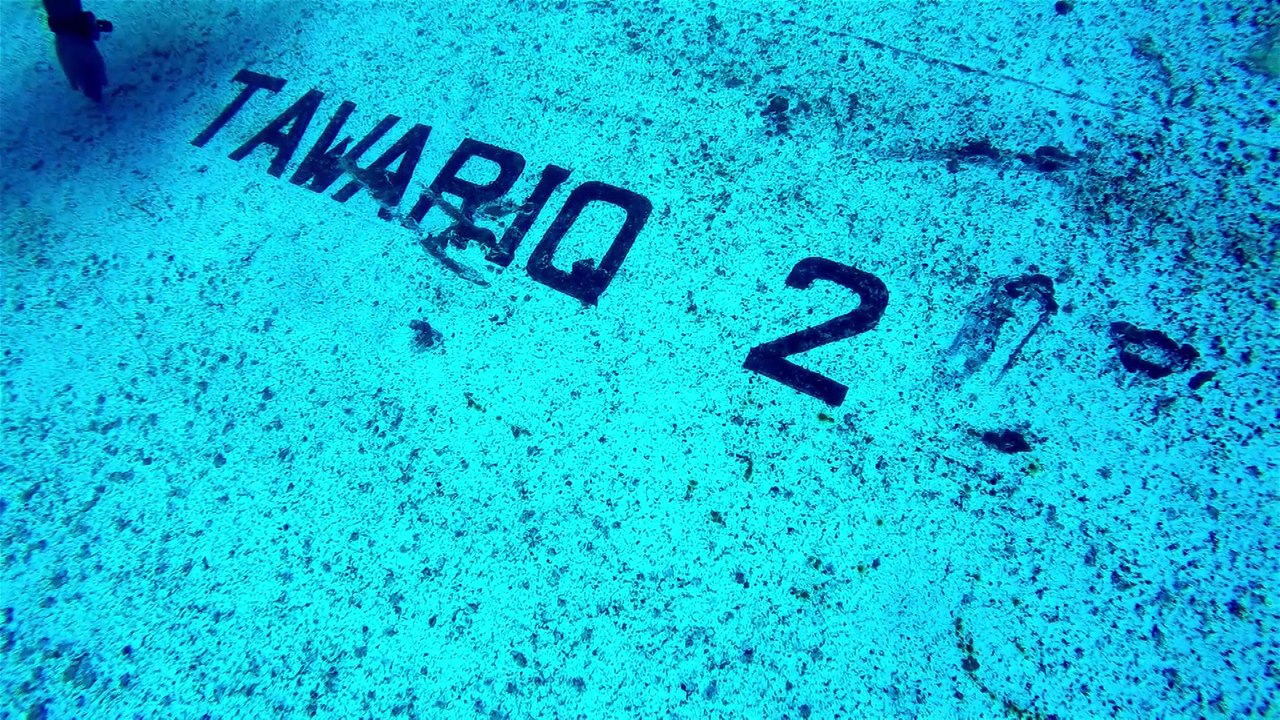 plongee du 23 01 17 Tawariq 2