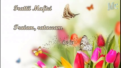 Fratii Maftei -Traiam, rataceam in intuneric zaceam