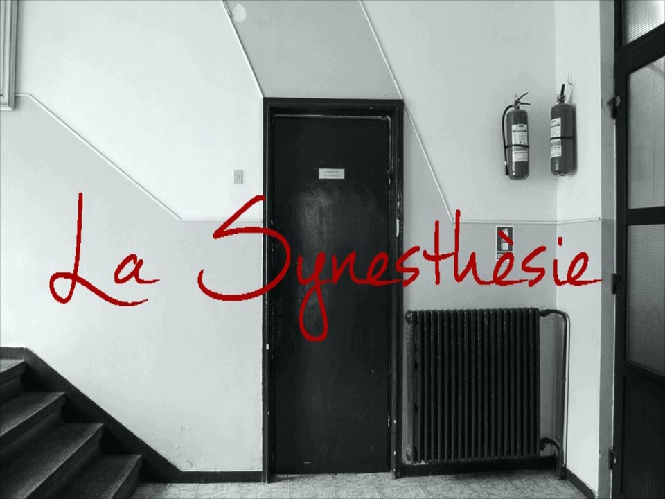 6.La synesthesie