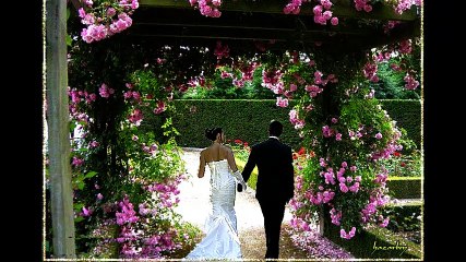 cheb Amine ( bye bye ) , الشاب أمين ( باي باي )