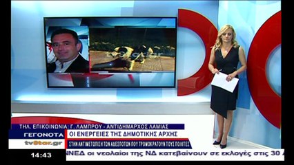 Η απάντηση του δήμου Λαμίας για τα αδέσποτα