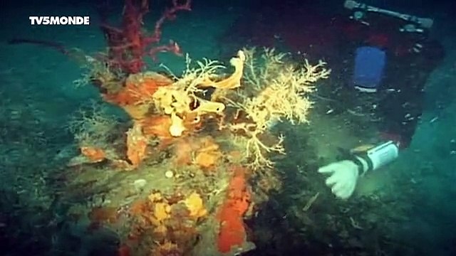 Mystères Maritimes, Affaires Classées - Le Prince disparu