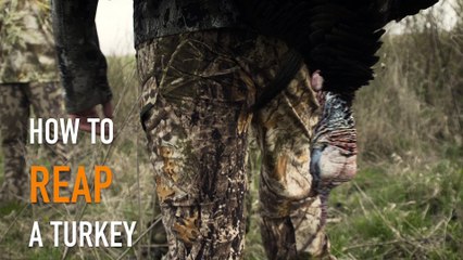 How to Reap a Turkey